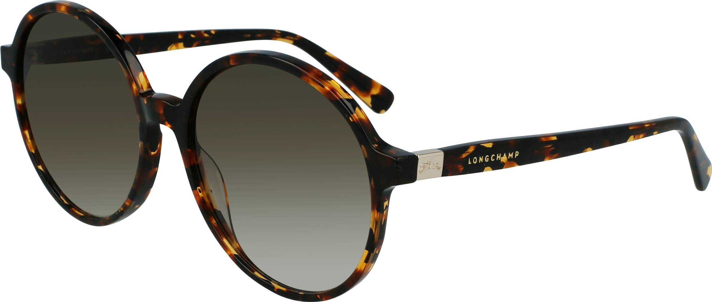 Color_(242) DARK HAVANA