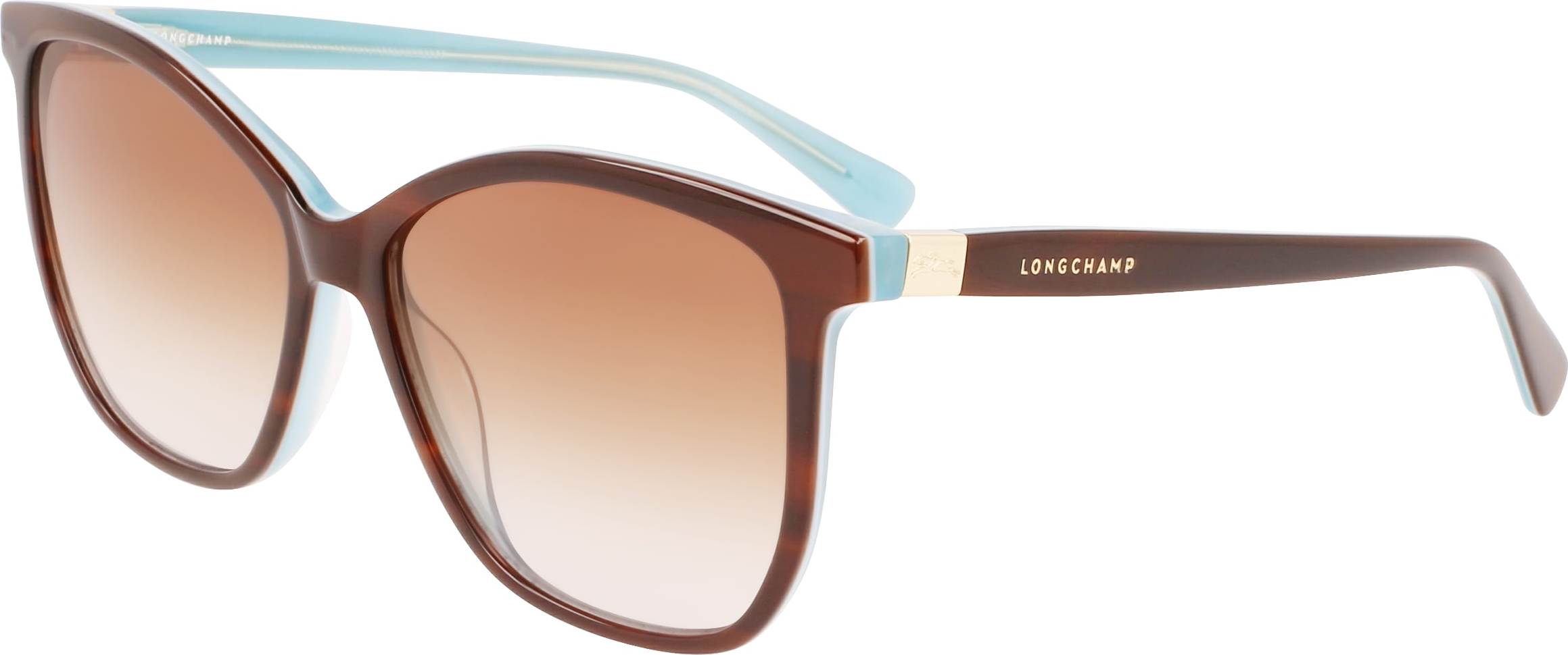 Color_(220) HAVANA/AZURE