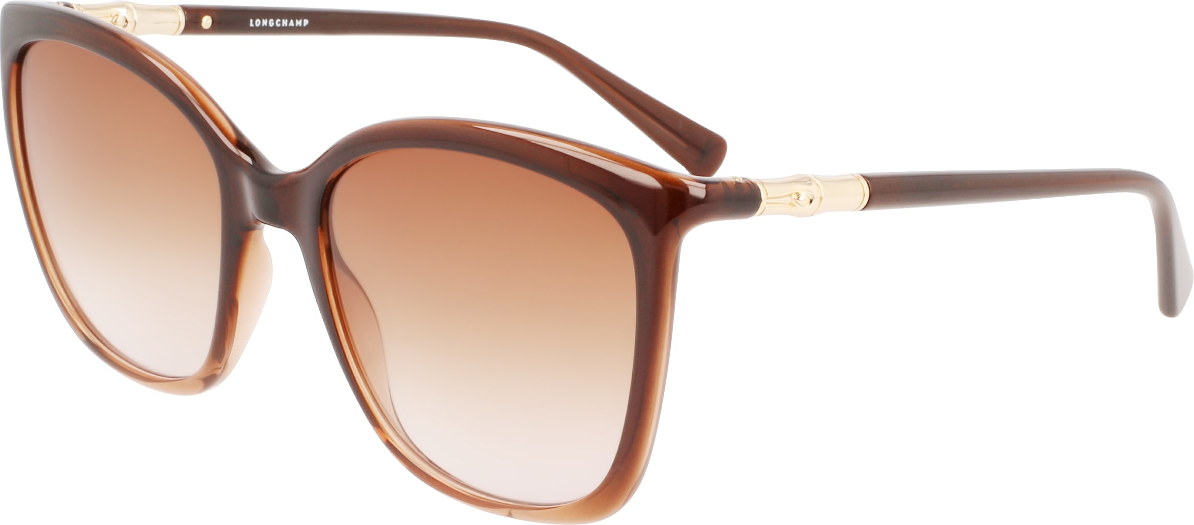 Color_(203) GRADIENT BROWN ROSE