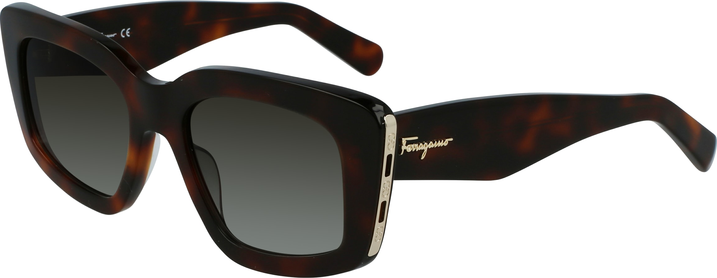 Color_(214) TORTOISE