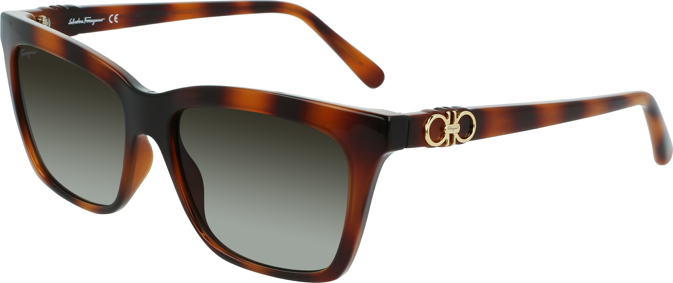 Color_(214) TORTOISE