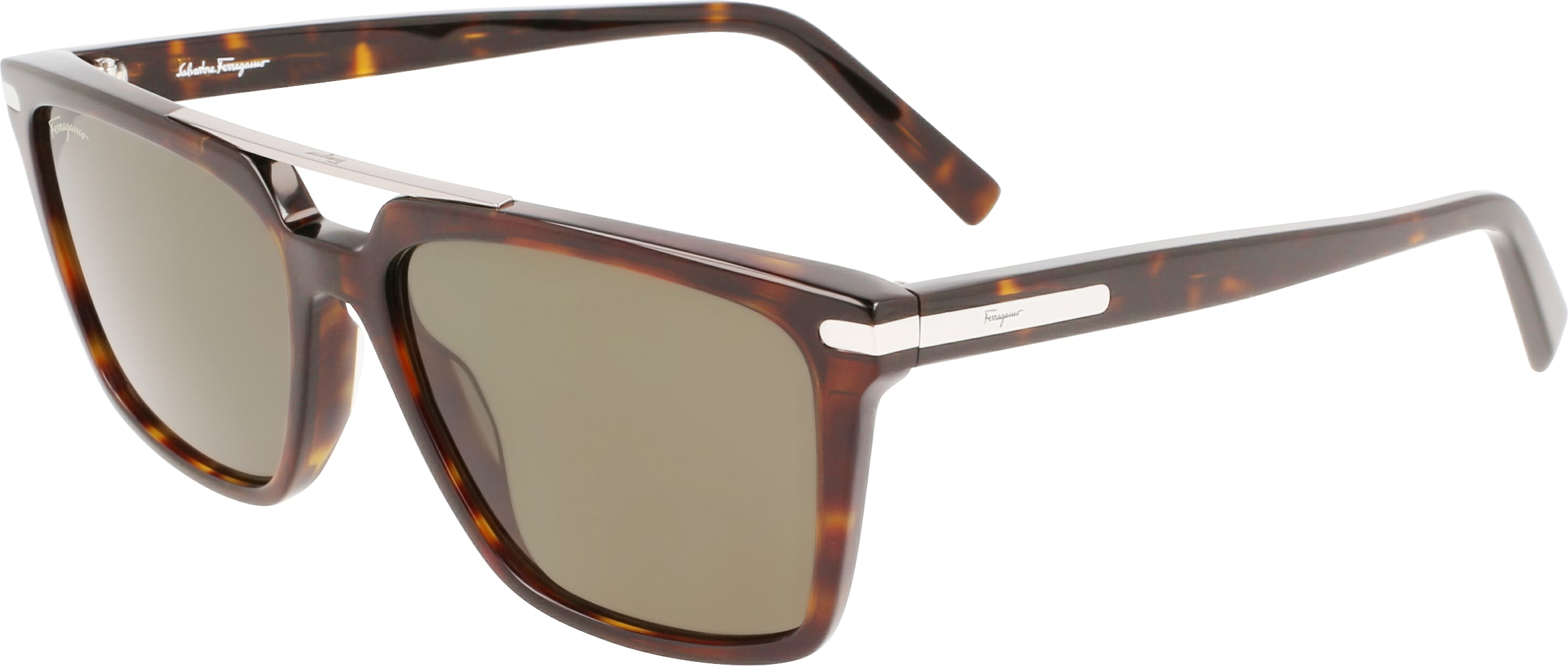 Color_(240) TORTOISE