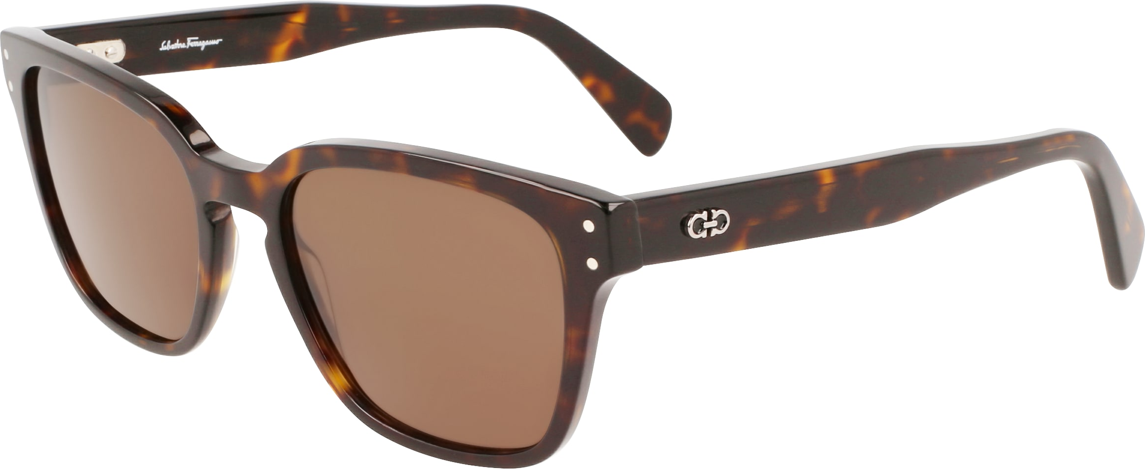 Color_(240) TORTOISE