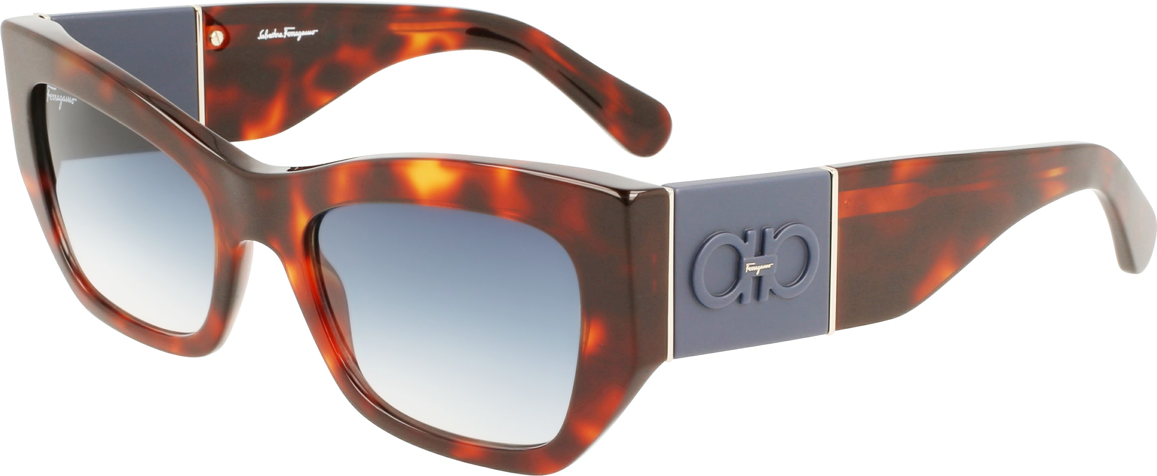 Color_(640) RED TORTOISE