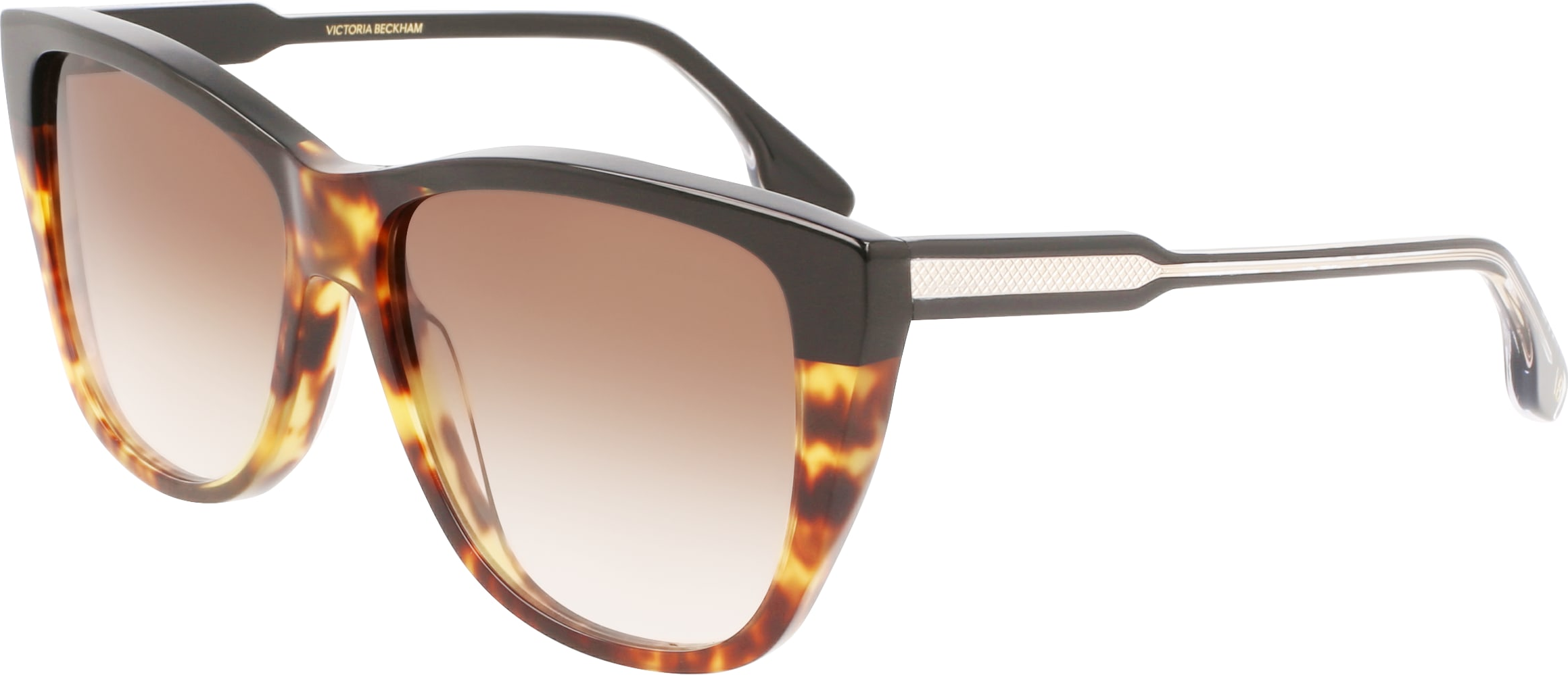 Color_(005) BLACK-TORTOISE