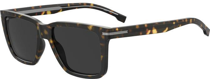 Color_Hugo Boss BOSS 1598/S