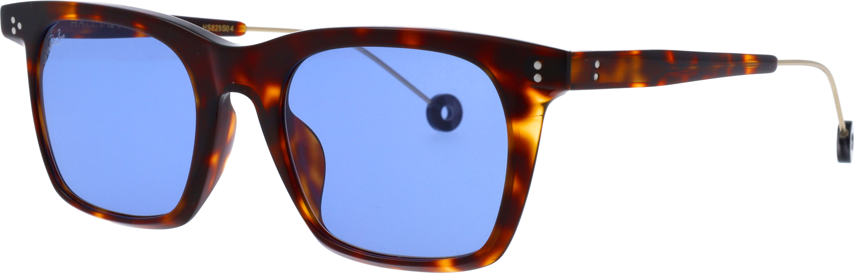 Color_HS829S04 - Tortoise