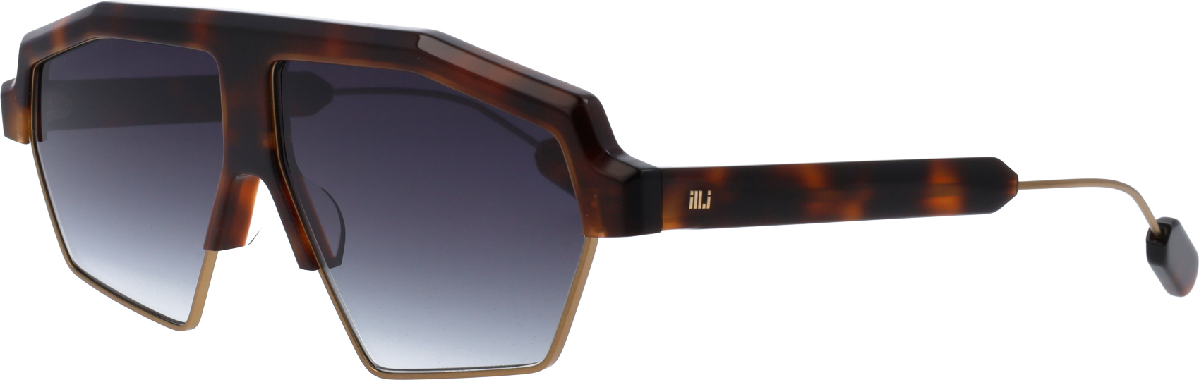 Color_WA591S02 - Tortoise