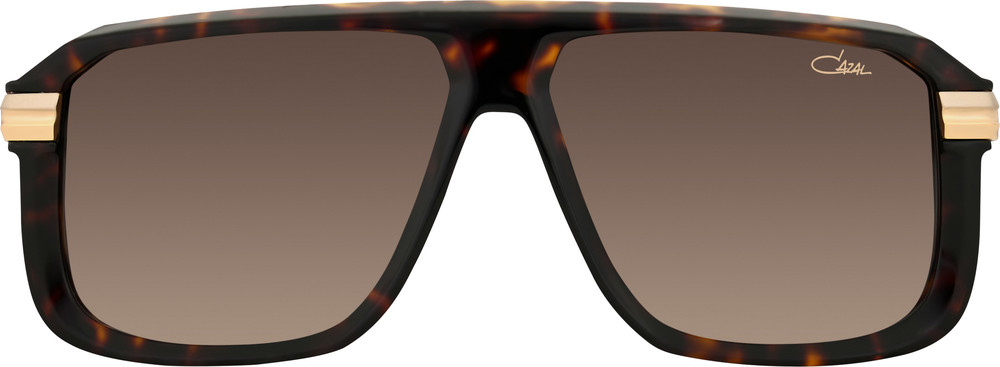 Color_003 - Havanna - Gold / Brown gradient AR coated