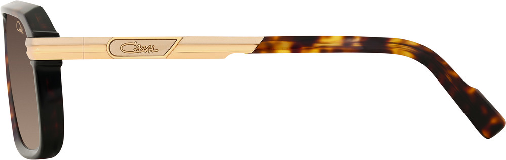 Color_003 - Havanna - Gold / Brown gradient AR coated