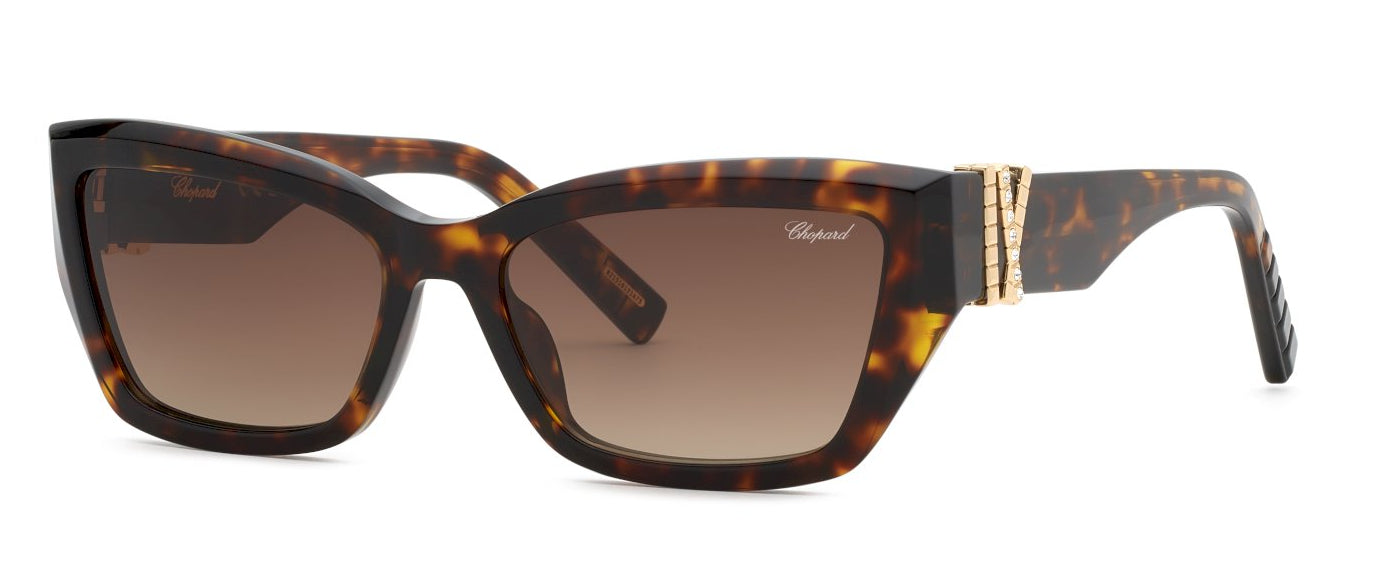 Color_04BL - Dark Havana / Brown Gradient (AR)