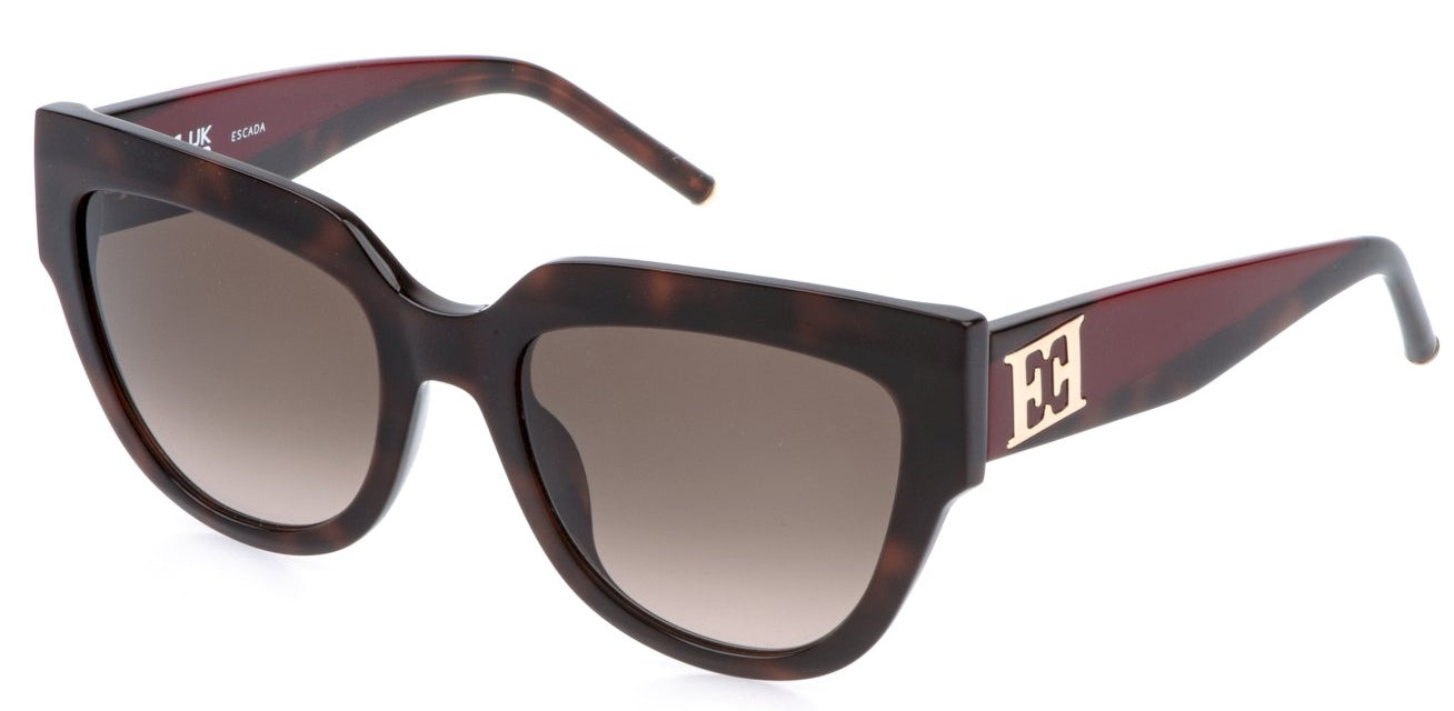 Color_0752 - Shiny Dark Havana / Brown Gradient