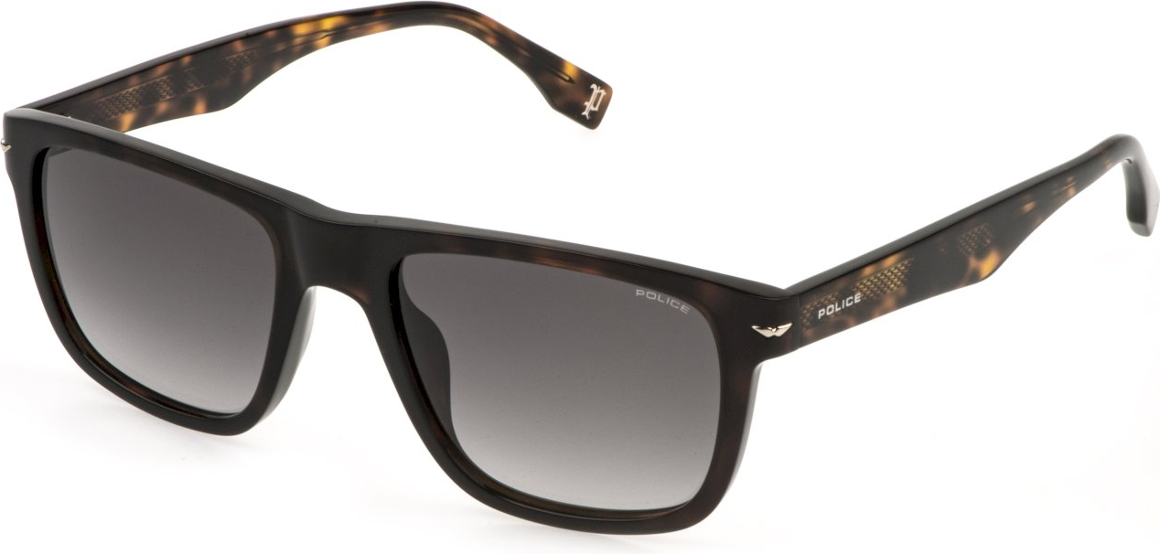 Color_06E4 - SHINY BROWN/HAVANA