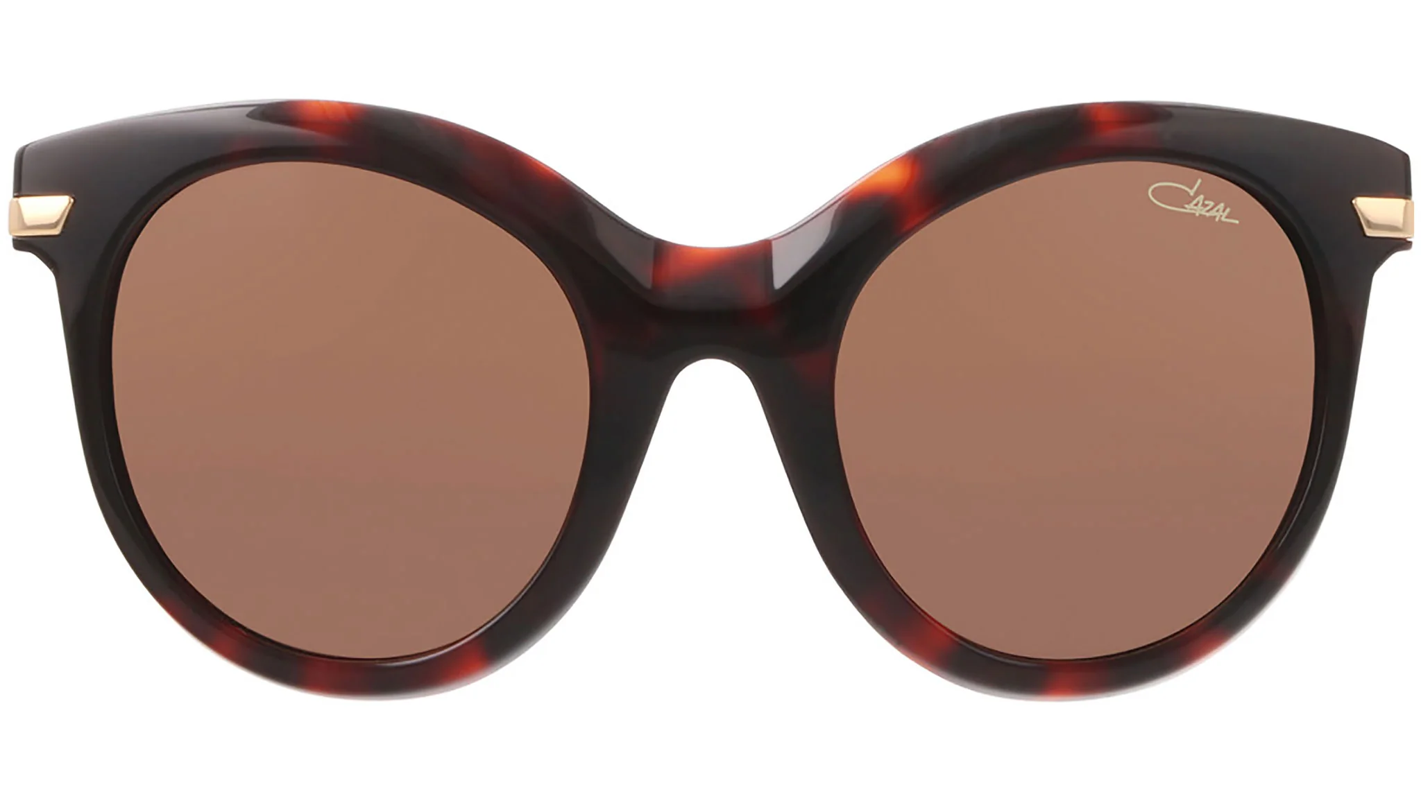 Color_002 - Havana - Gold / Brown AR Coated 