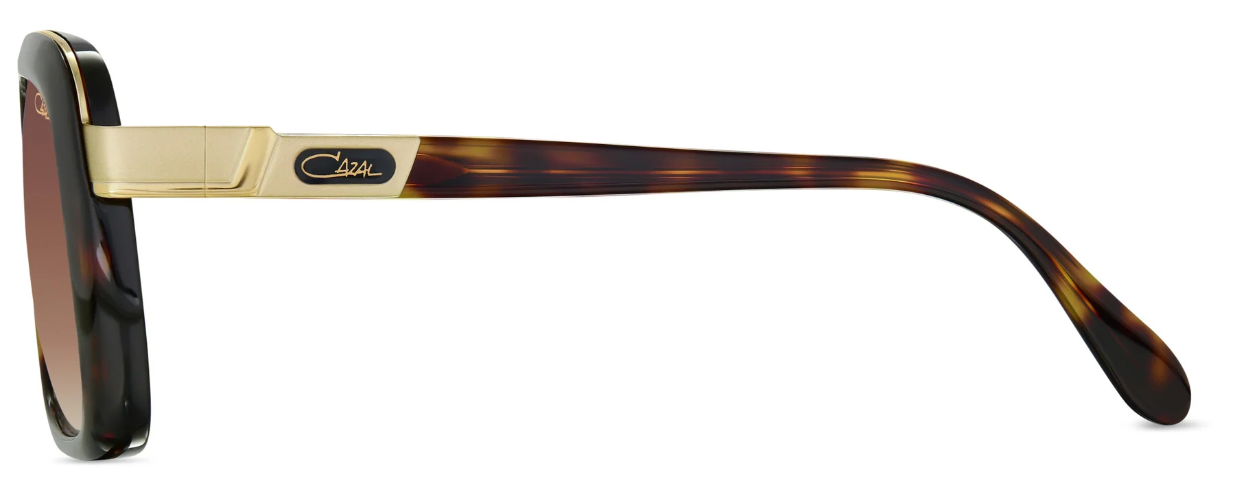 Color_005 HAVANA GOLD - BROWN GRADIENT