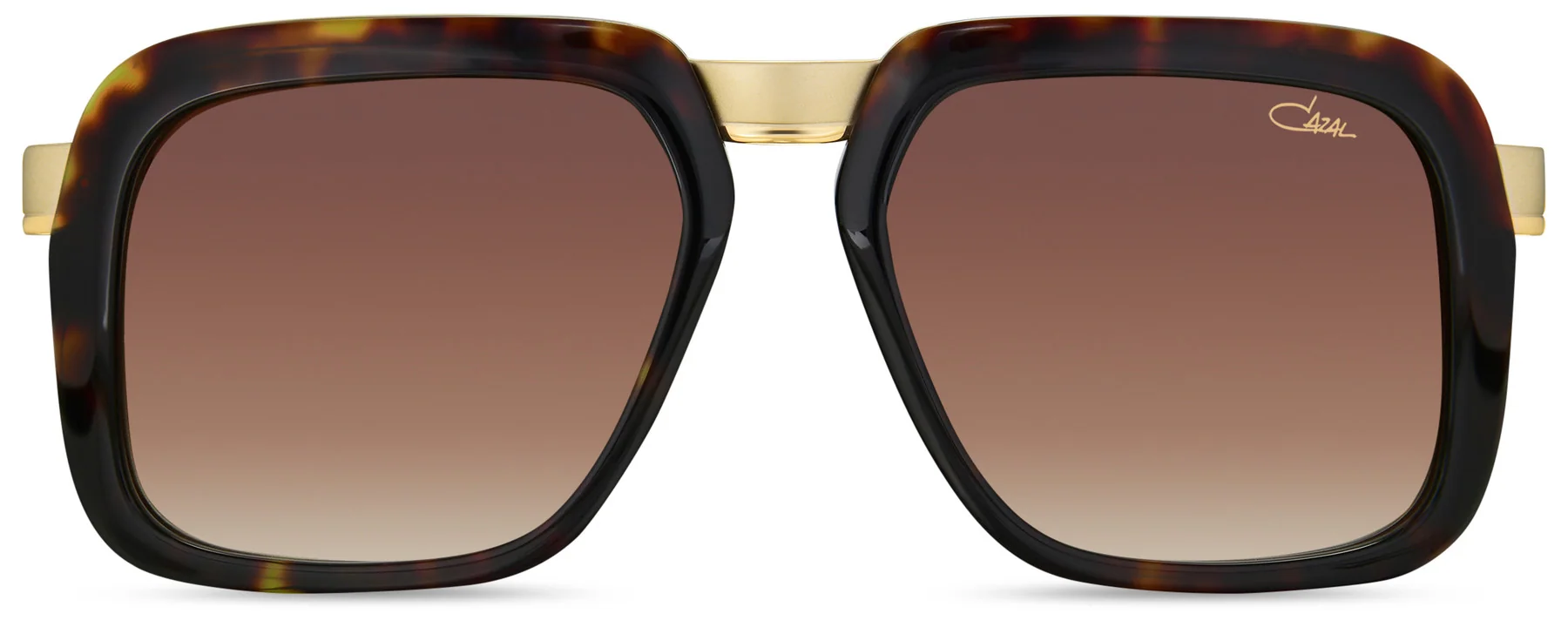 Color_005 HAVANA GOLD - BROWN GRADIENT