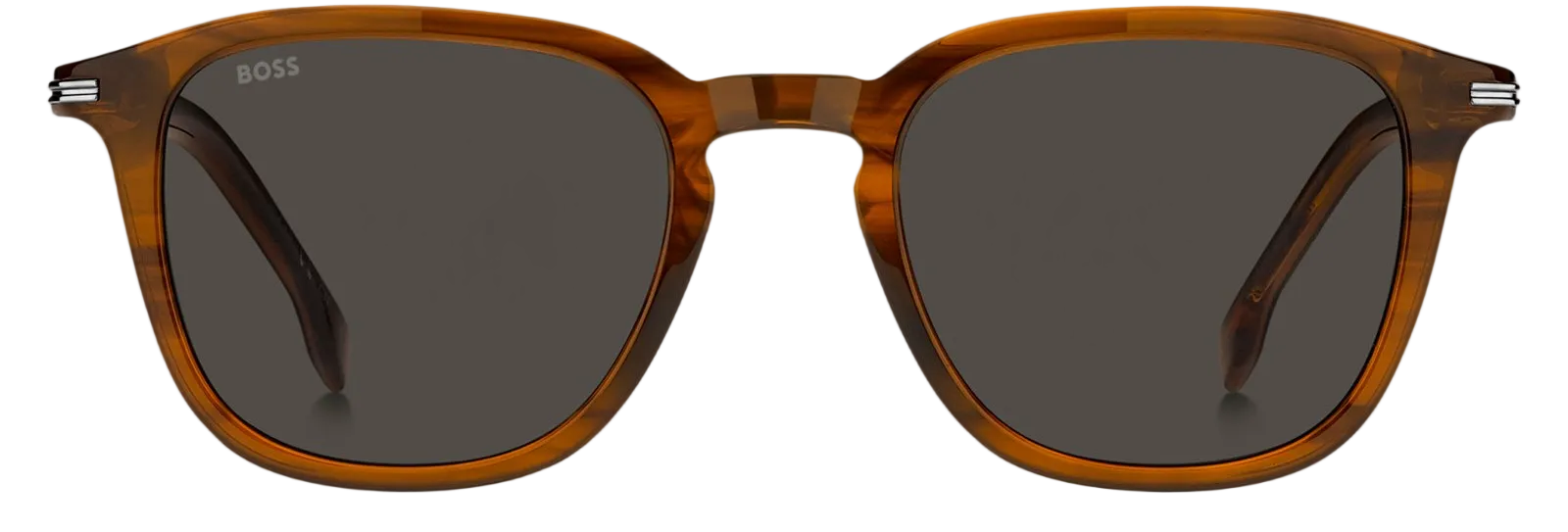 Color_EX4-BROWN HORN - IR-GREY