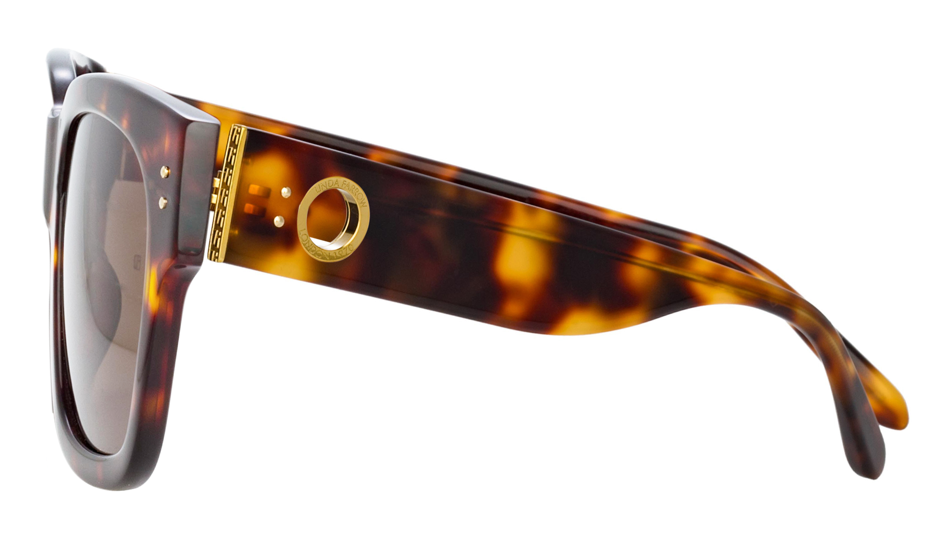 Color_LFLC1001C2SUN - Amber D-Frame Sunglasses in Tortoiseshell
