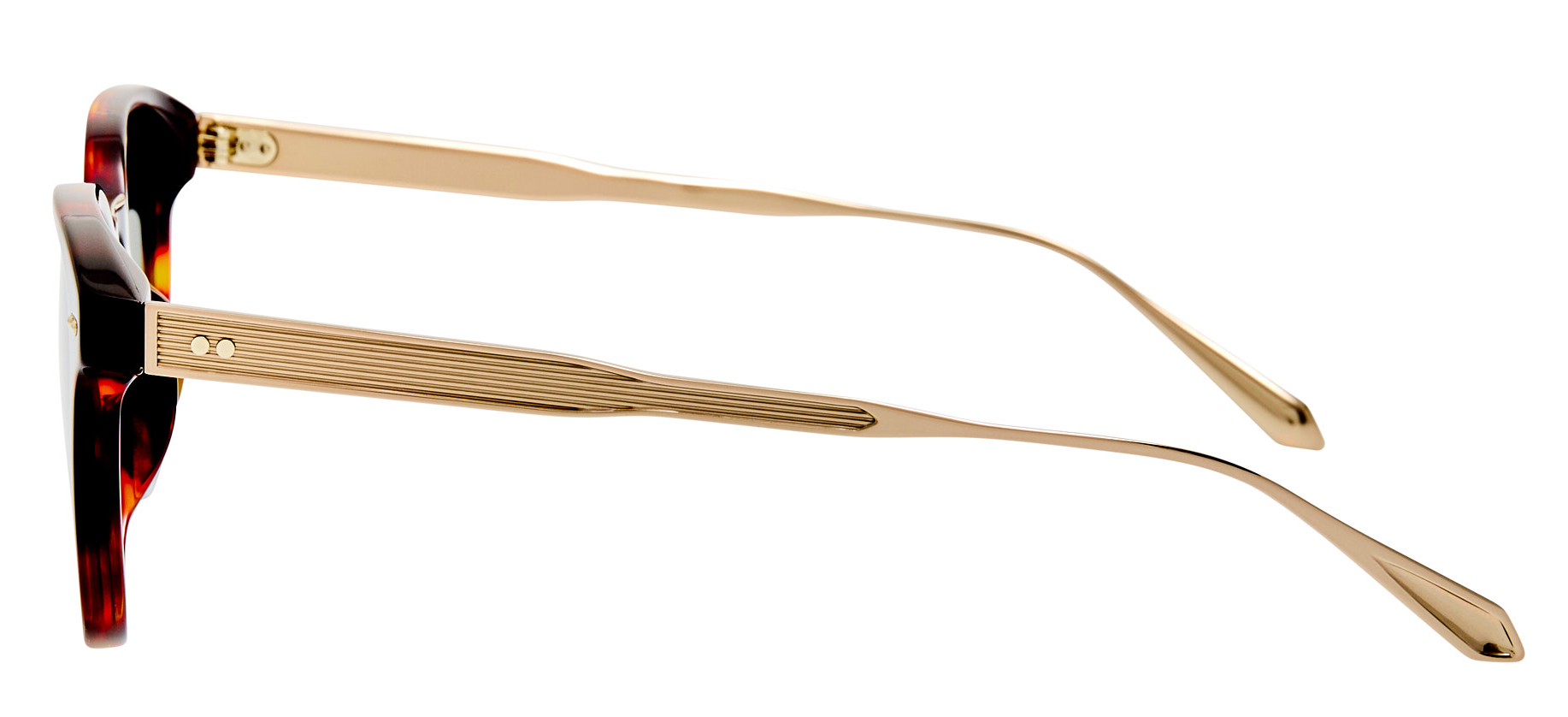 Color_LFL1585C2SUN - Paulson D-Frame Sunglasses in Dark T-Shell and Deep Green