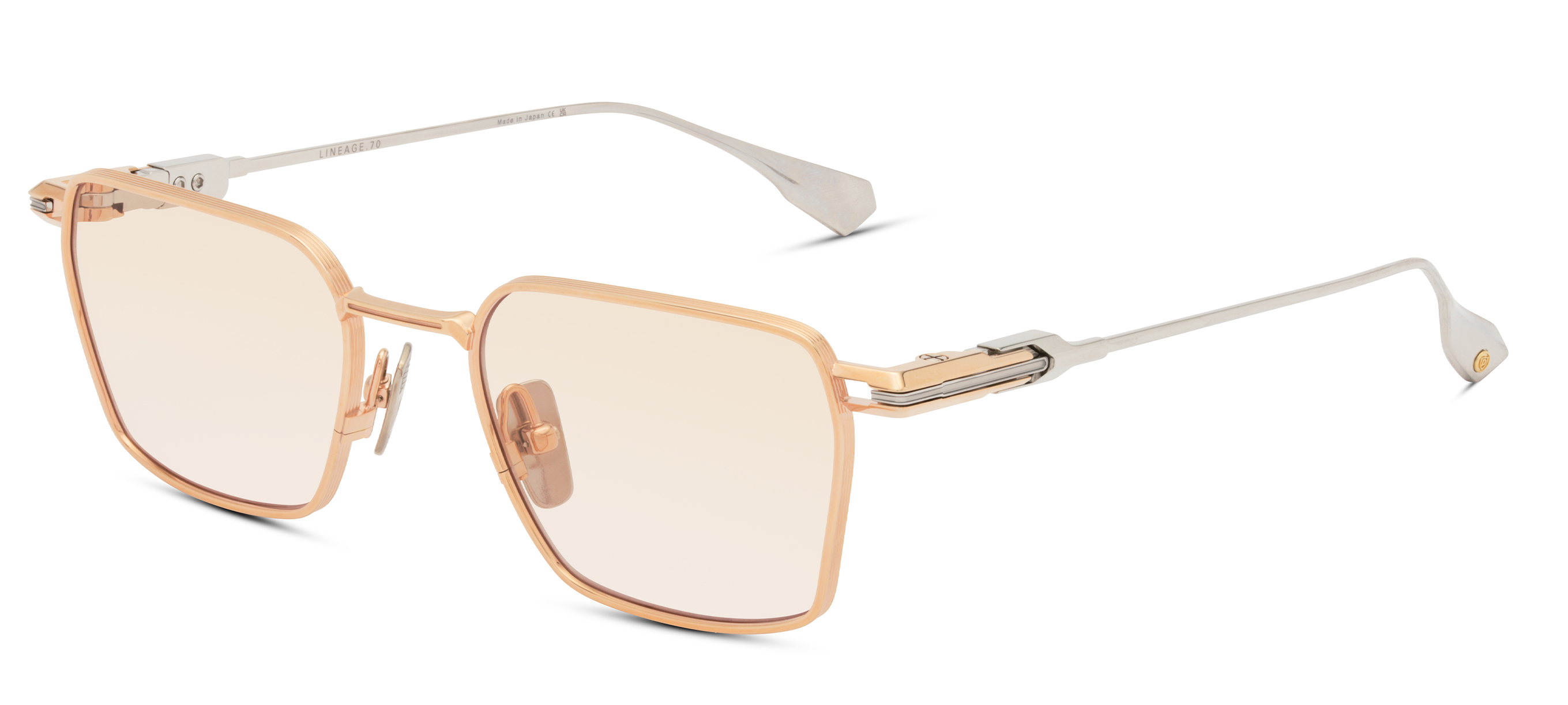 Color_DTX206-A-03 - Rose Gold - Shiny Silver  / MArron Wash