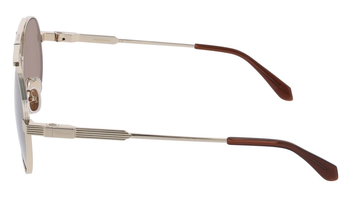 Color_(710) Shiny Gold Titanium / Brown