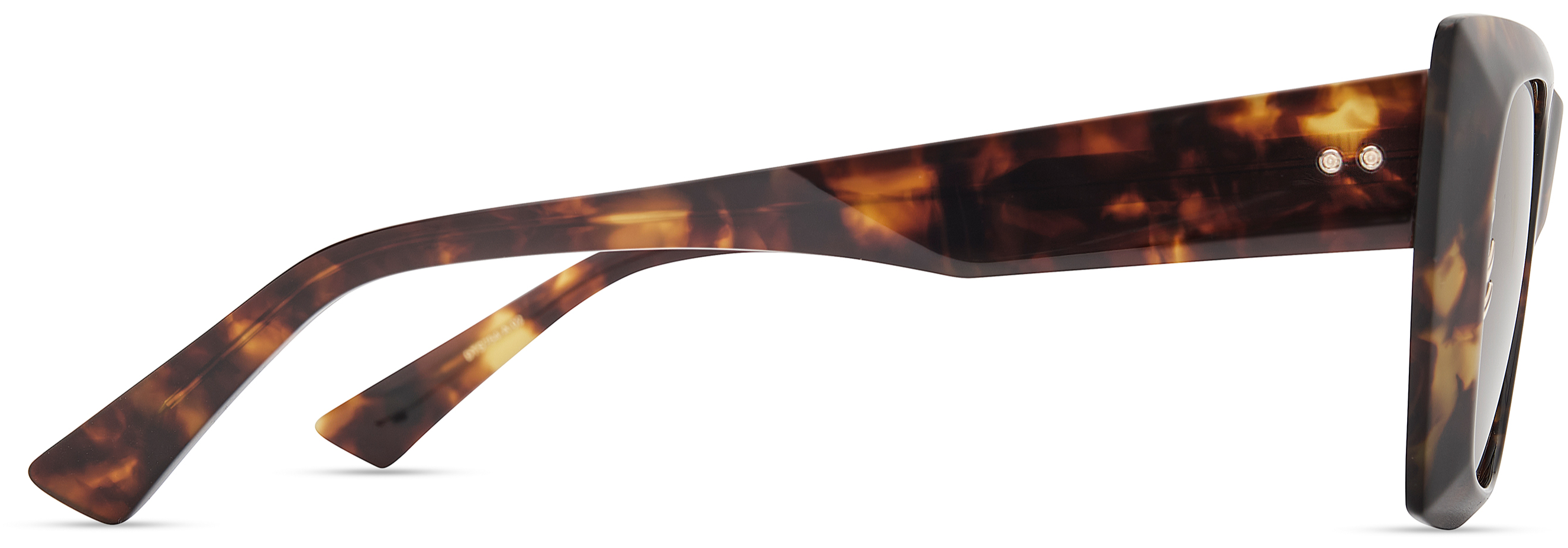 Color_DTS754-A-02 TORTOISE HAZE / BROWN