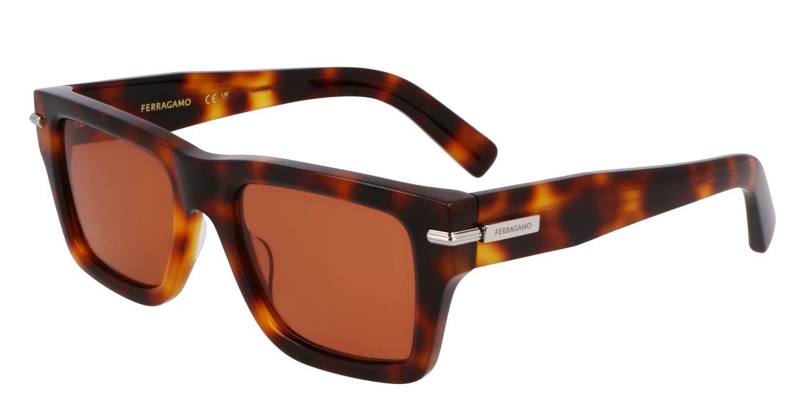 Color_240 - Tortoise