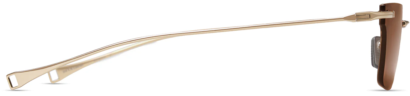 Color_DLS125-A-01 - Gold Sand / Land Lens - Brown Polarized