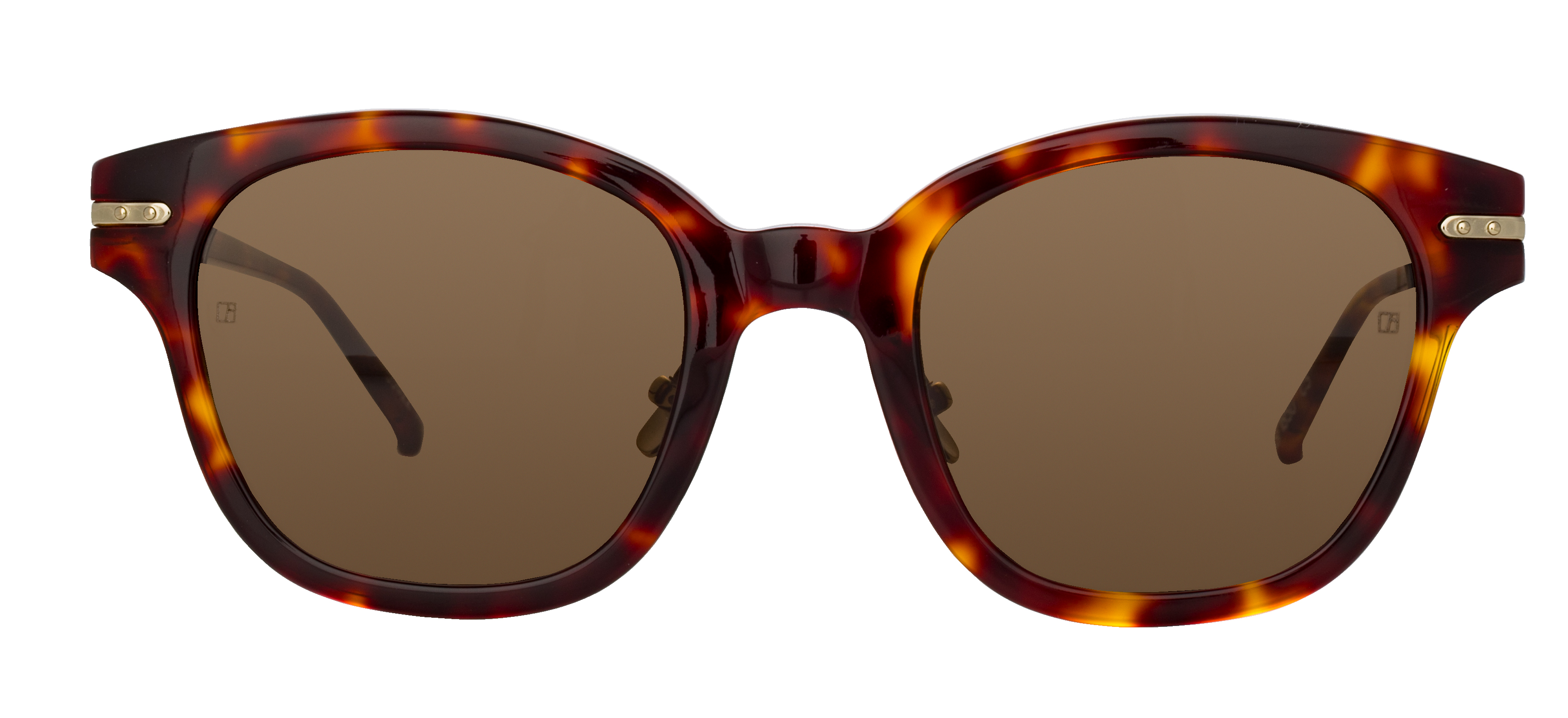 Color_LF45AC5SUN - Sophia Oval Sunglasses in Brown and Green 