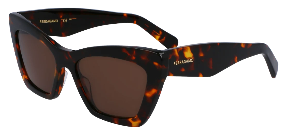 Color_242 - Dark Tortoise