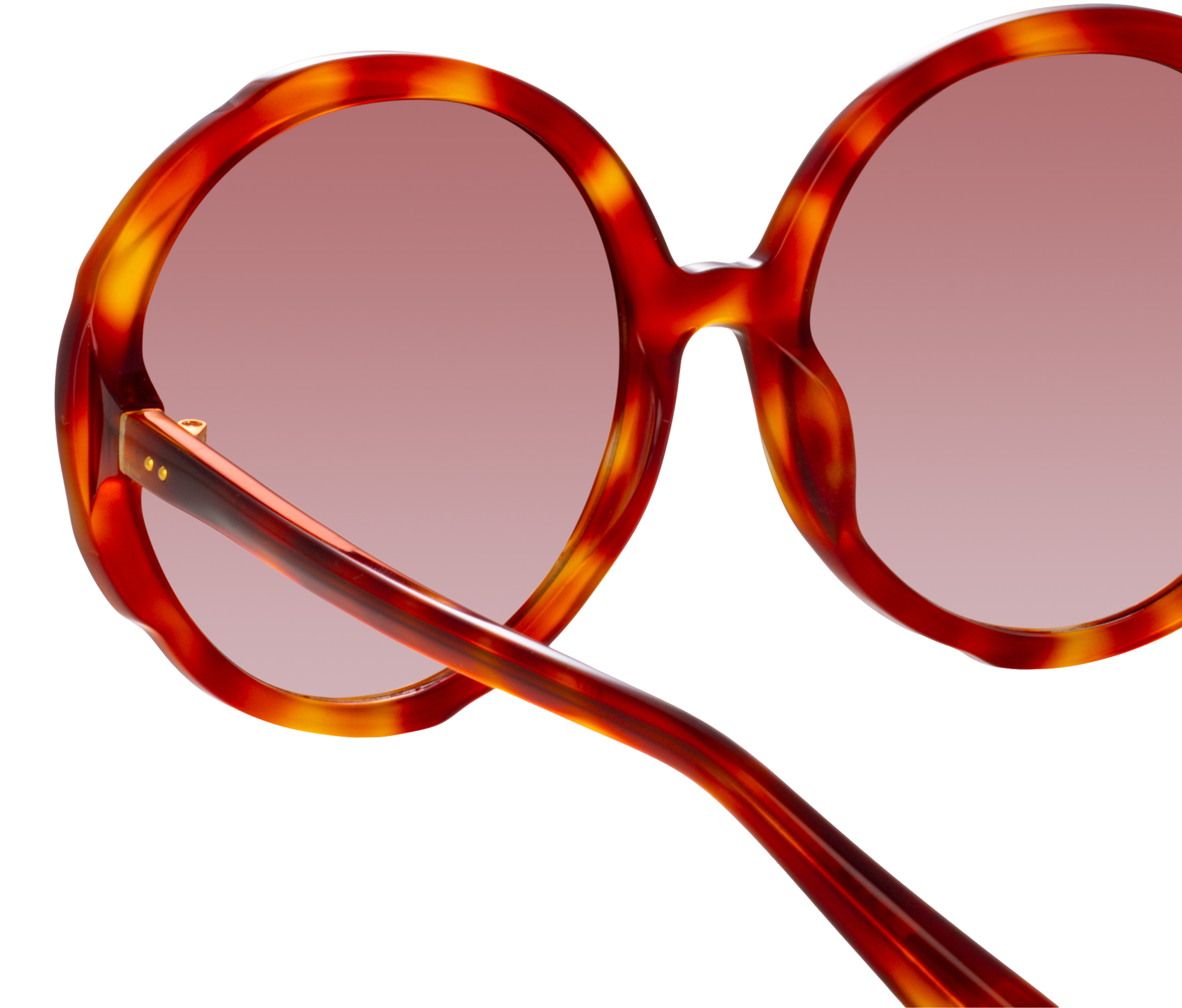 Color_LFL1356C3SUN - Otavia Oversized Sunglasses in Amber Tortoiseshell
