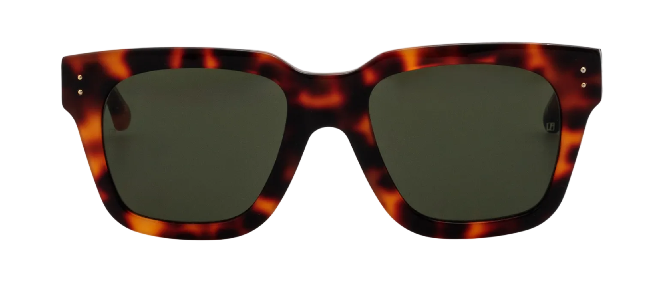 Color_LFLC71C95SUN - Max D-Frame Sunglasses in Tortoise Shell and Green