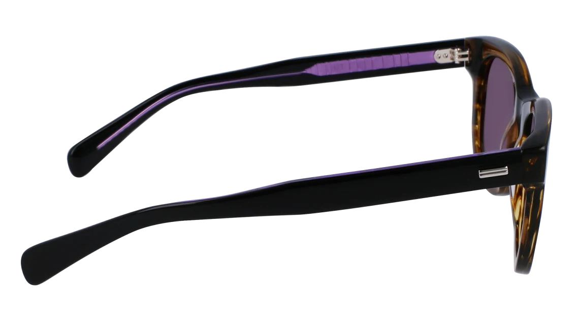 Color_002 - Striped Brown / Purple