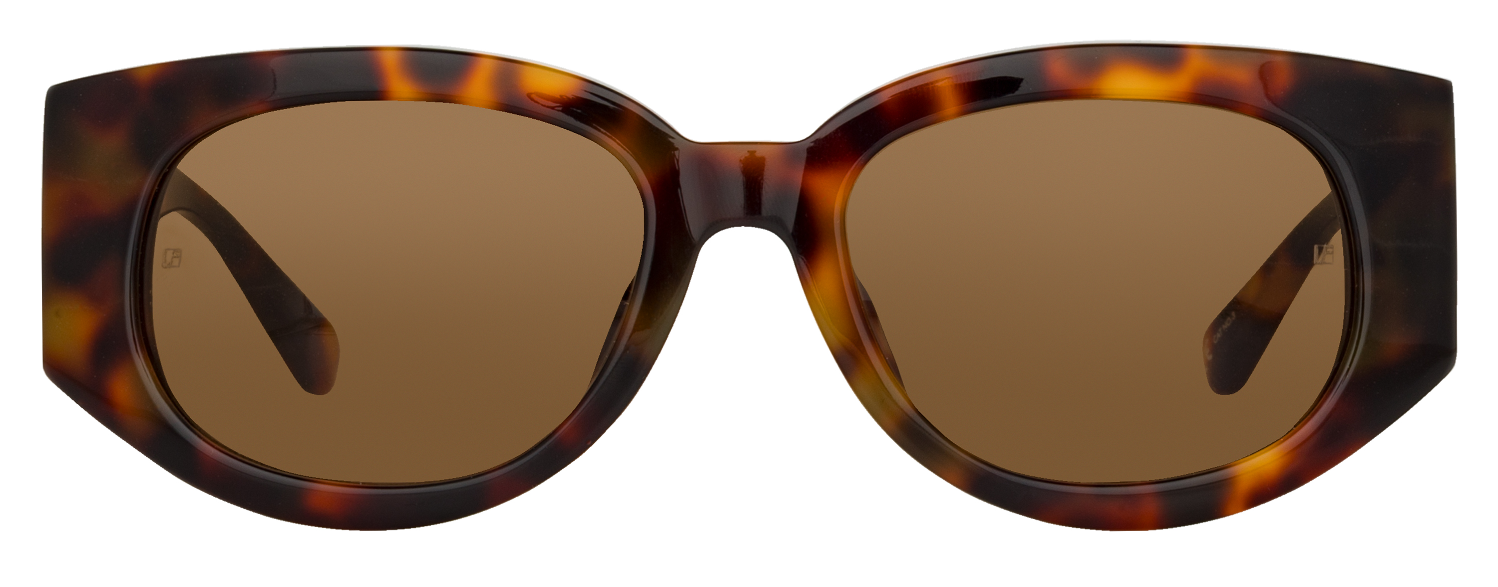 Color_LFLC1059C2SUN - Debbie D-Frame Sunglasses in T-Shell and Solid Brown