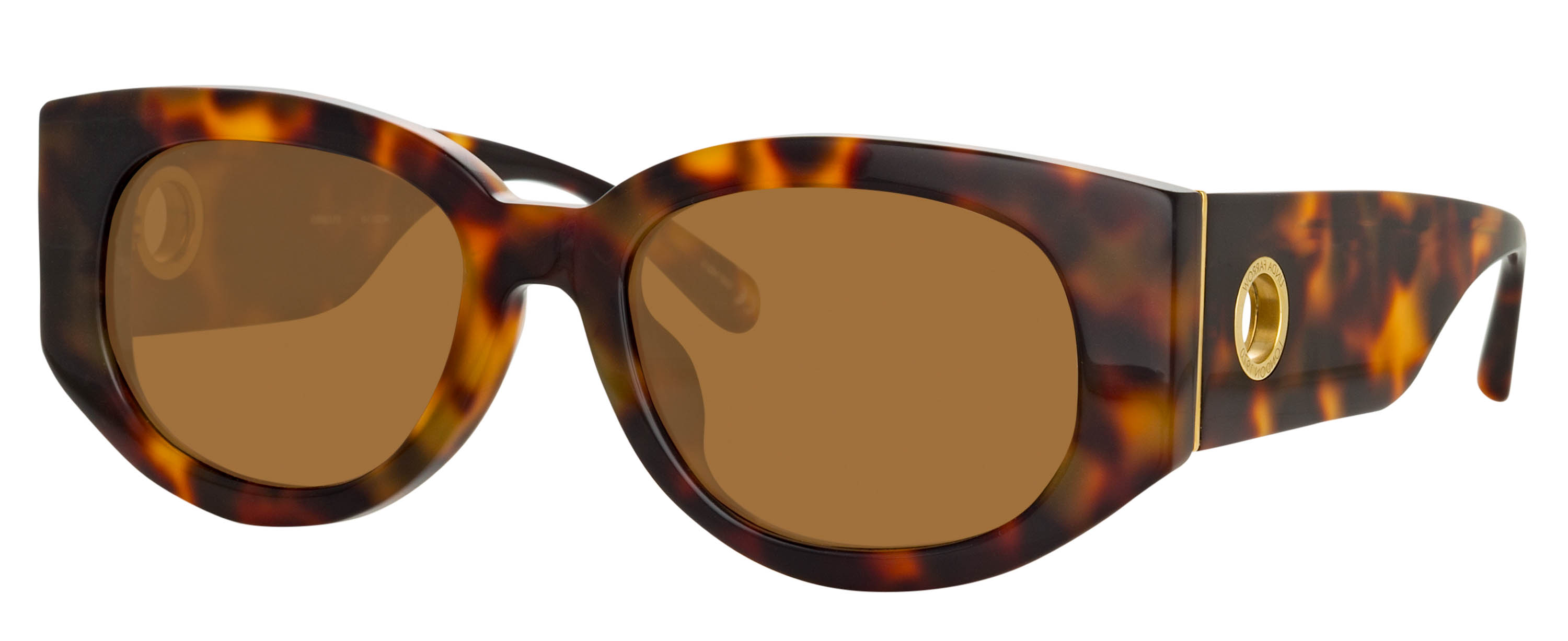 Color_LFLC1059C2SUN - Debbie D-Frame Sunglasses in T-Shell and Solid Brown