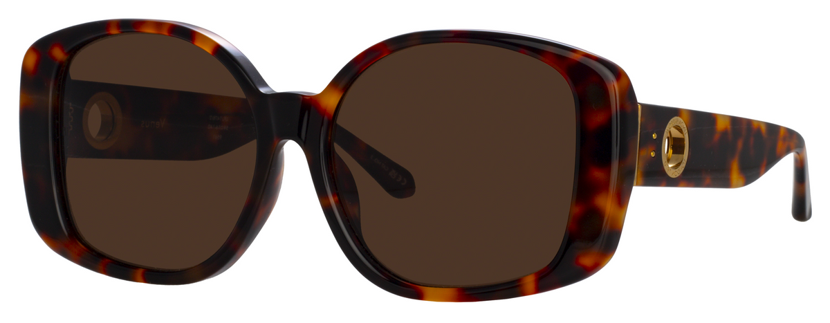 Color_LFL1478C2SUN - Venus Oversized Sunglasses in Tortoise Shell and Brown