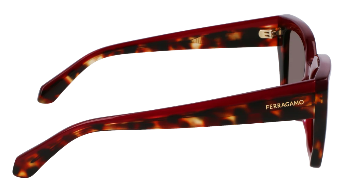 Color_654 - Opaline Burgundy / Red Tortoise