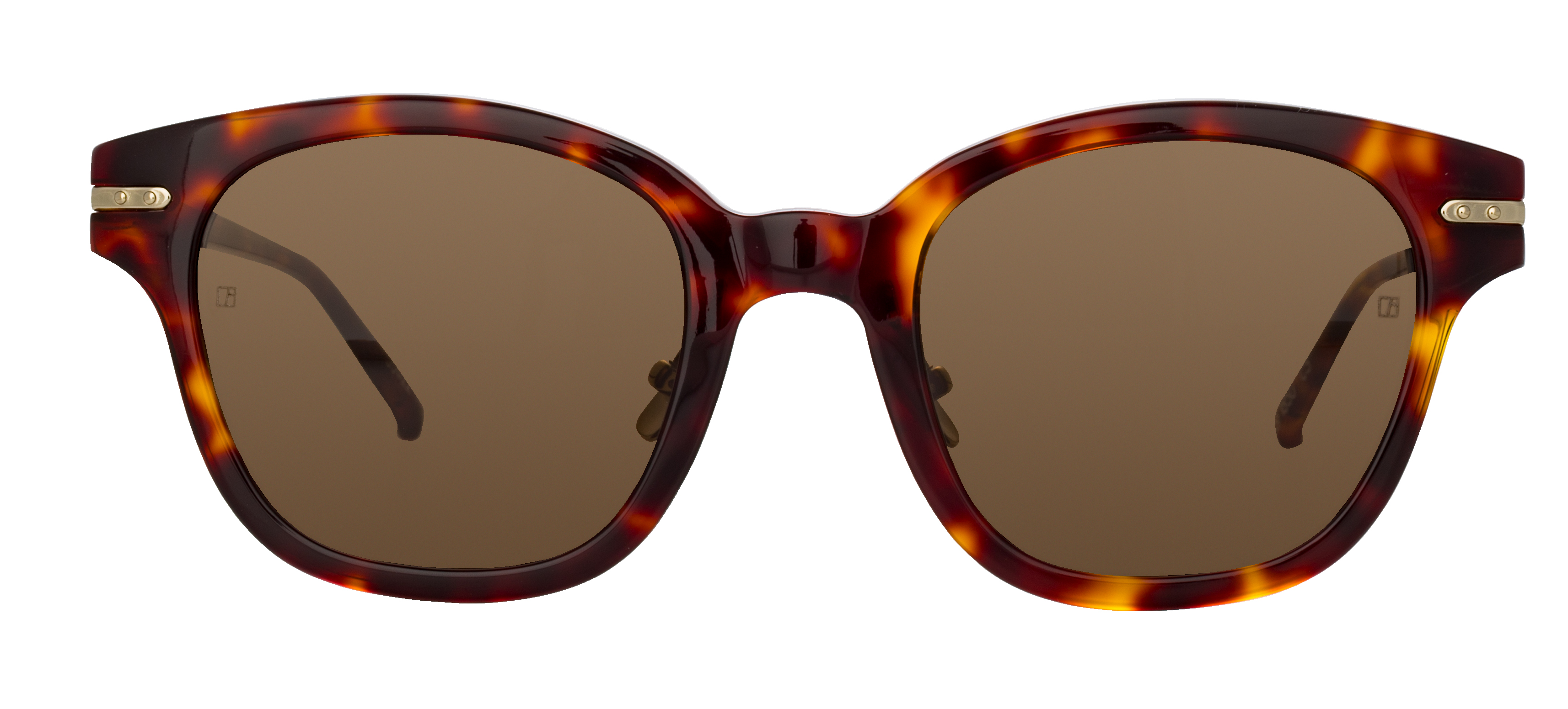 Color_LF42AC5SUN - Atkins D-Frame Sunglasses in Tortoiseshell