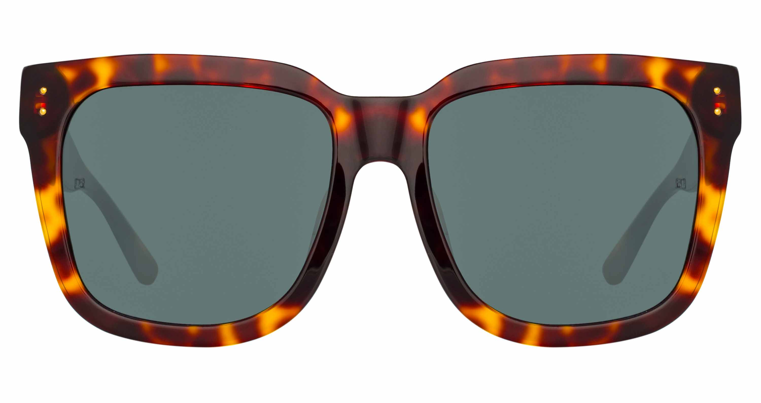 Color_LFL1175C5SUN - Freya Square Sunglasses in Tortoiseshell and Deep Green