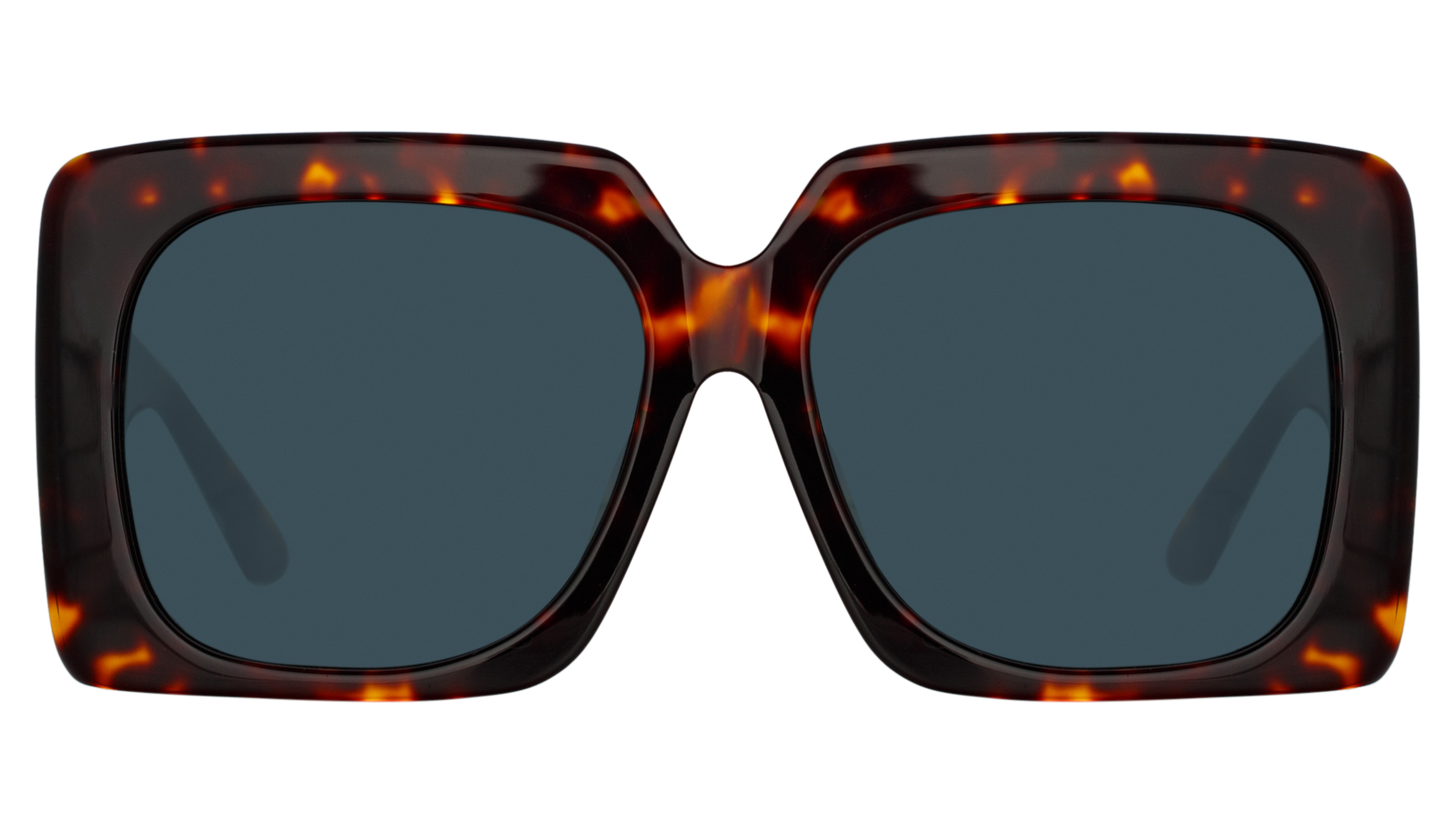 Color_LFL1346C3SUN - Sierra Oversized Sunglasses in Tortoiseshell and Deep Green