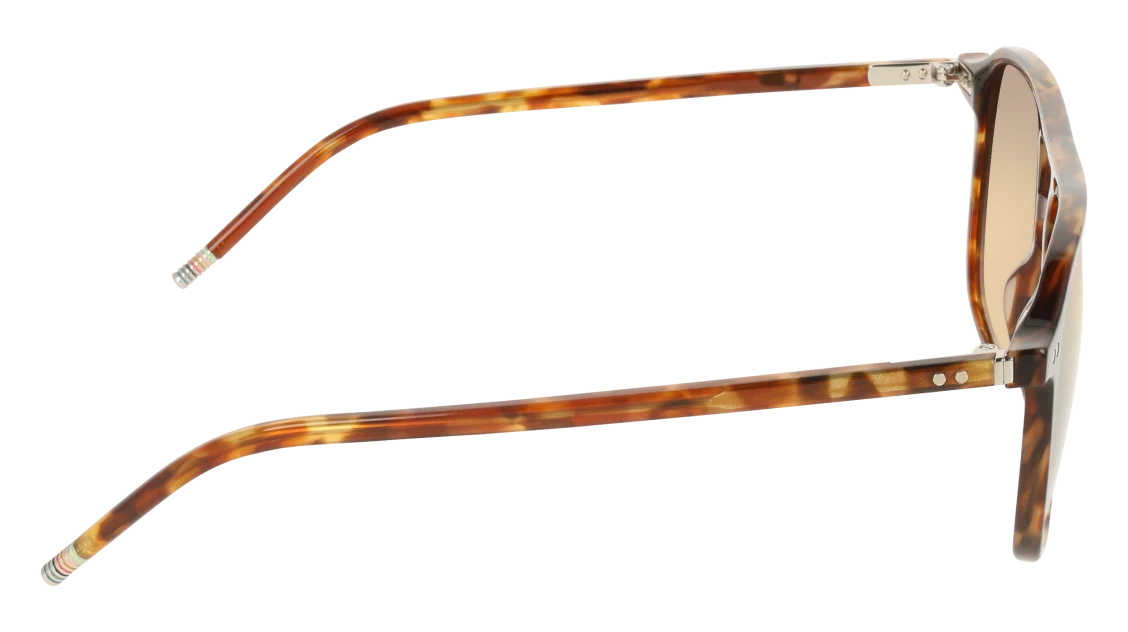 Color_217 - Havana Brown / Brown Gradient