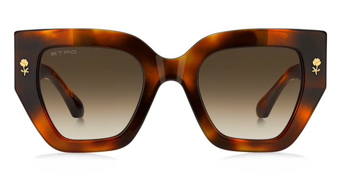 Color_05L - Havana Brown / HA - Brown Shaded Gradient