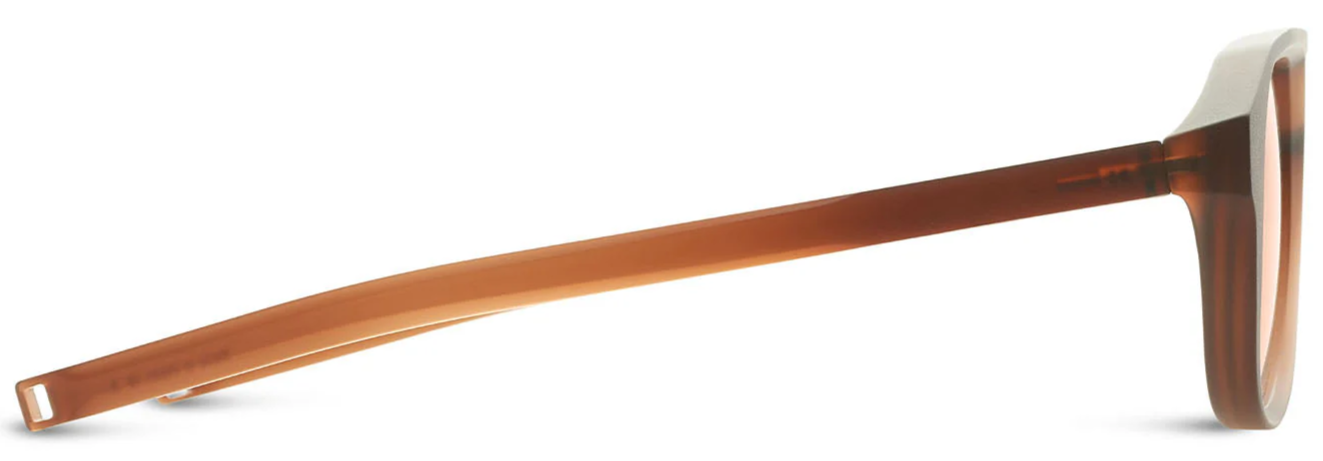 Color_DLS707-A-02 - Copperhead Brown / Land Lens - Brown Polarized