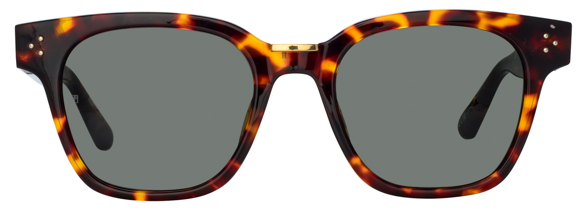 Color_LFL1481C5SUN - Sanchez D-Frame Sunglasses in Tortoise Shell and Deep Green