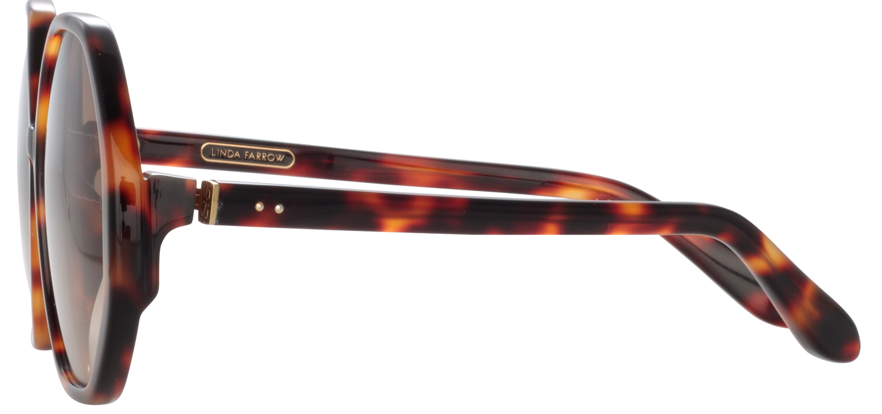 Color_LFL1415C2SUN - Paloma Hexagon Sunglasses in Tortoiseshell