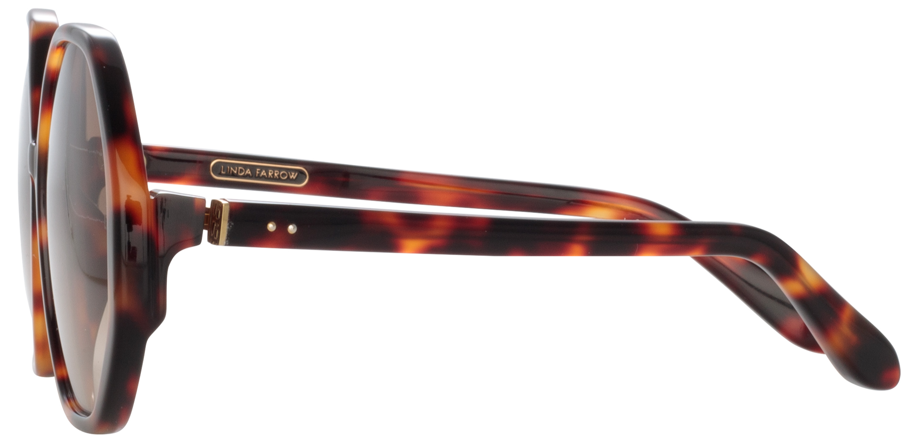 Color_LFL1415C2SUN - Paloma Hexagon Sunglasses in Tortoiseshell