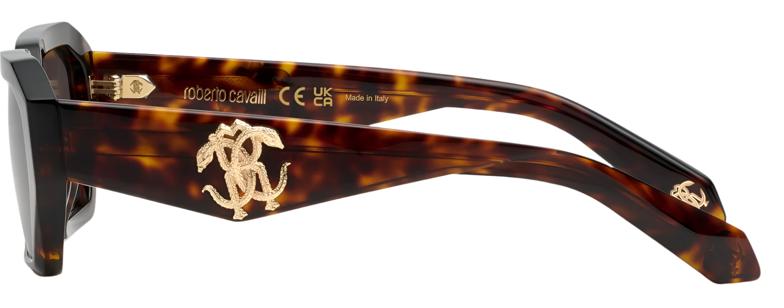 Color_0743 - SHINY BROWN/YELLOW HAVANA - BROWN