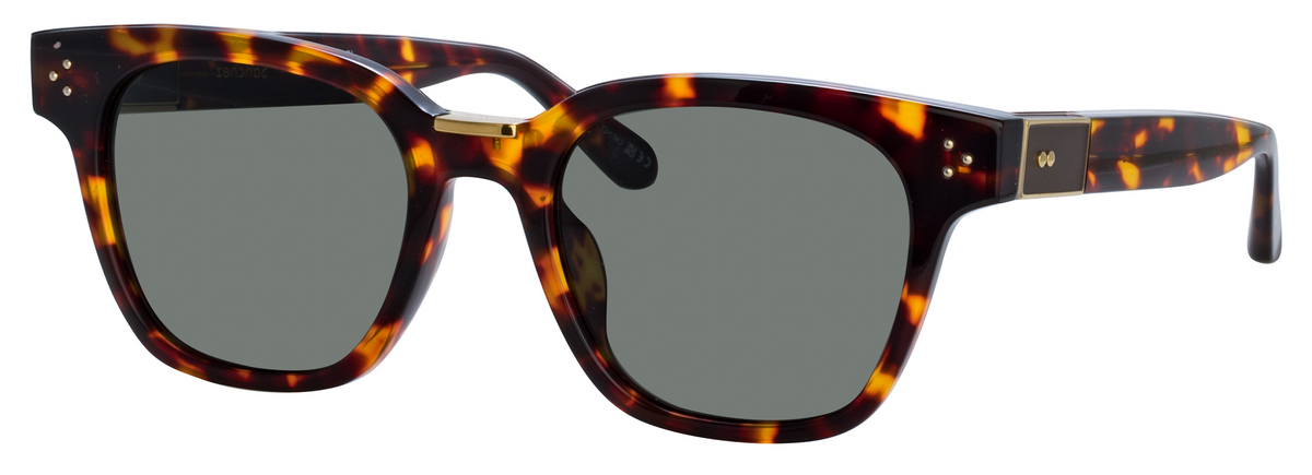 Color_LFL1481C5SUN - Sanchez D-Frame Sunglasses in Tortoise Shell and Deep Green