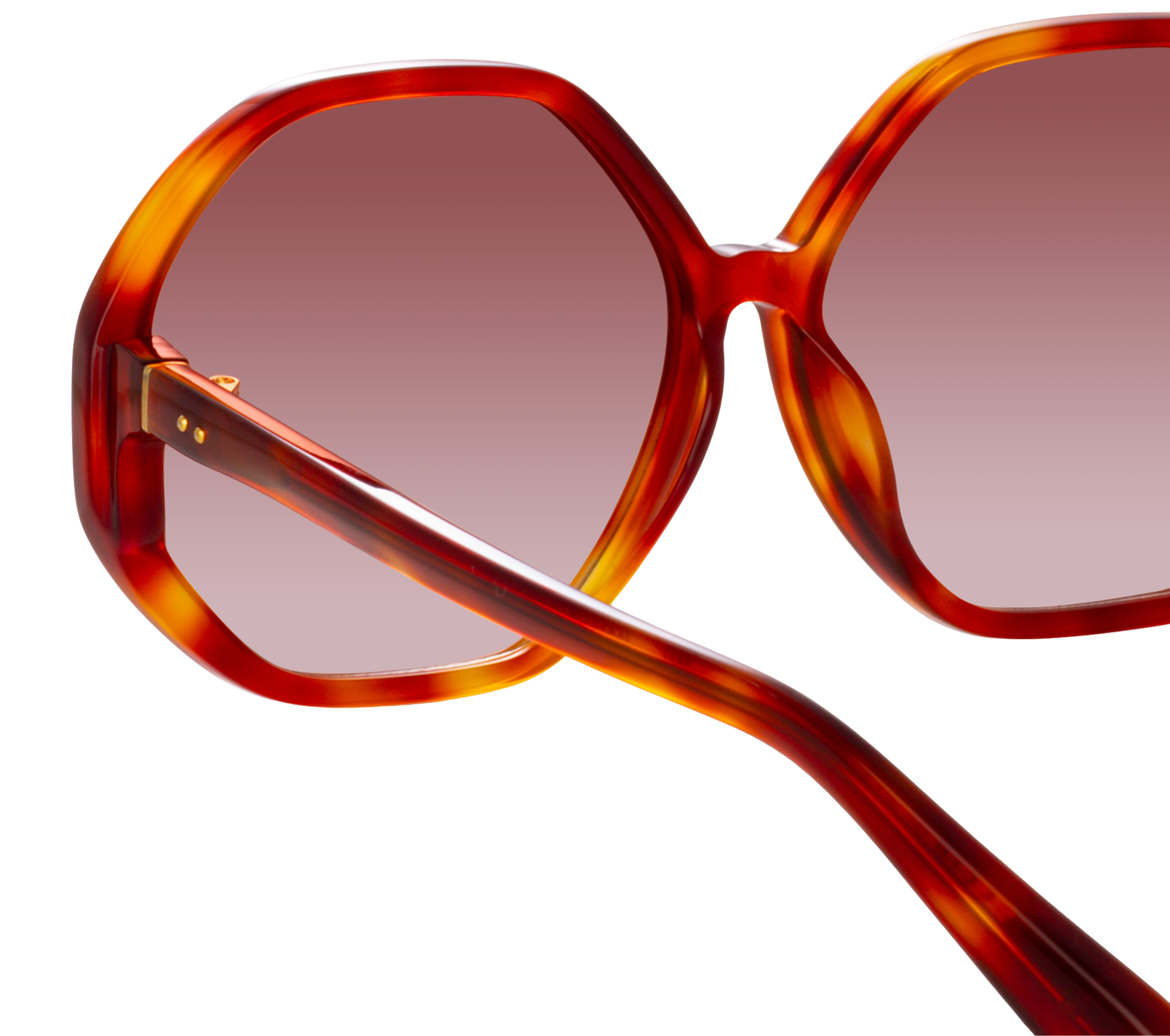 Color_LFL1415C3SUN - Paloma Hexagon Sunglasses in Amber