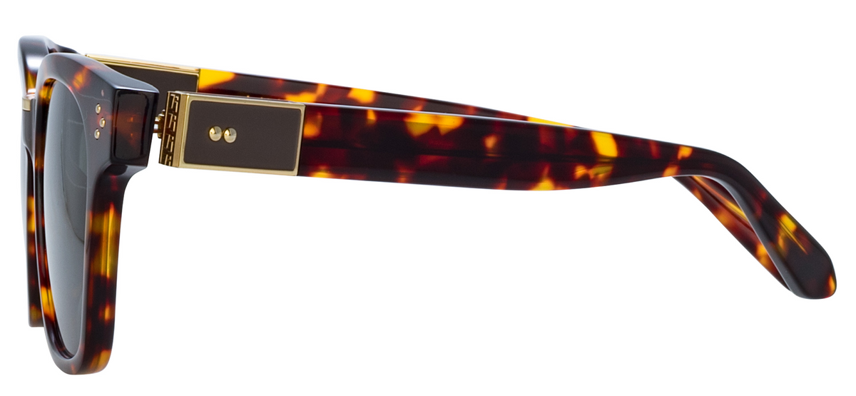 Color_LFL1481C5SUN - Sanchez D-Frame Sunglasses in Tortoise Shell and Deep Green